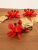 Krab