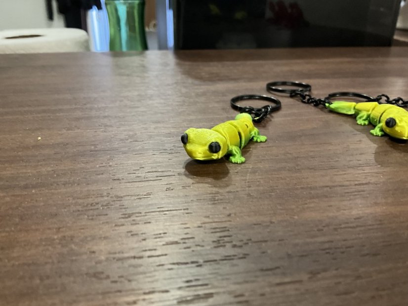 Gekonek - Ks: 10
